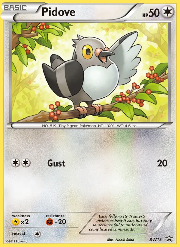 Pidove #BW15, BW Black Star Promos English Holo, TCGdex reference