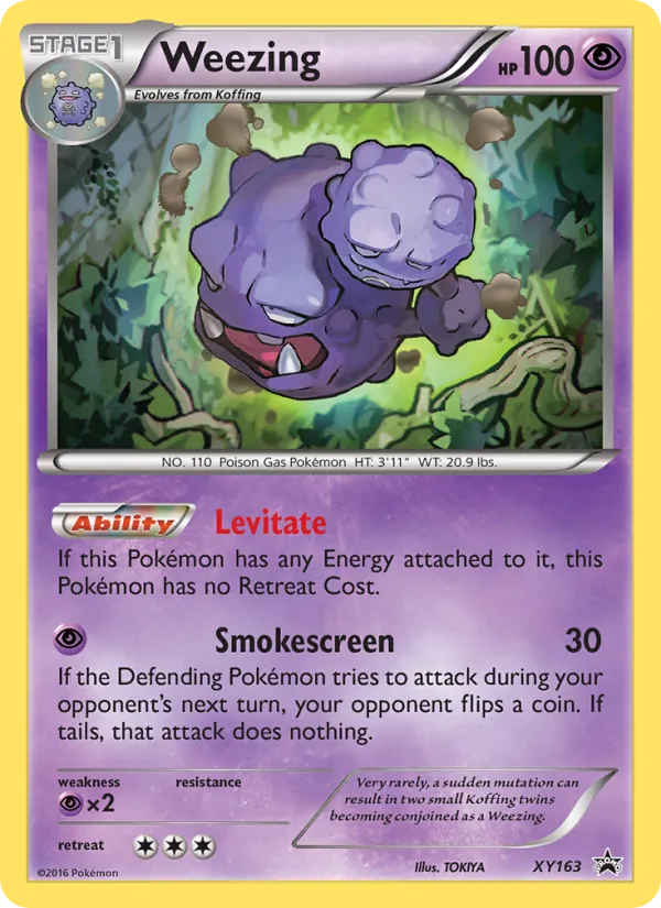 Weezing #XY163, XY Black Star Holo, TCGdex reference